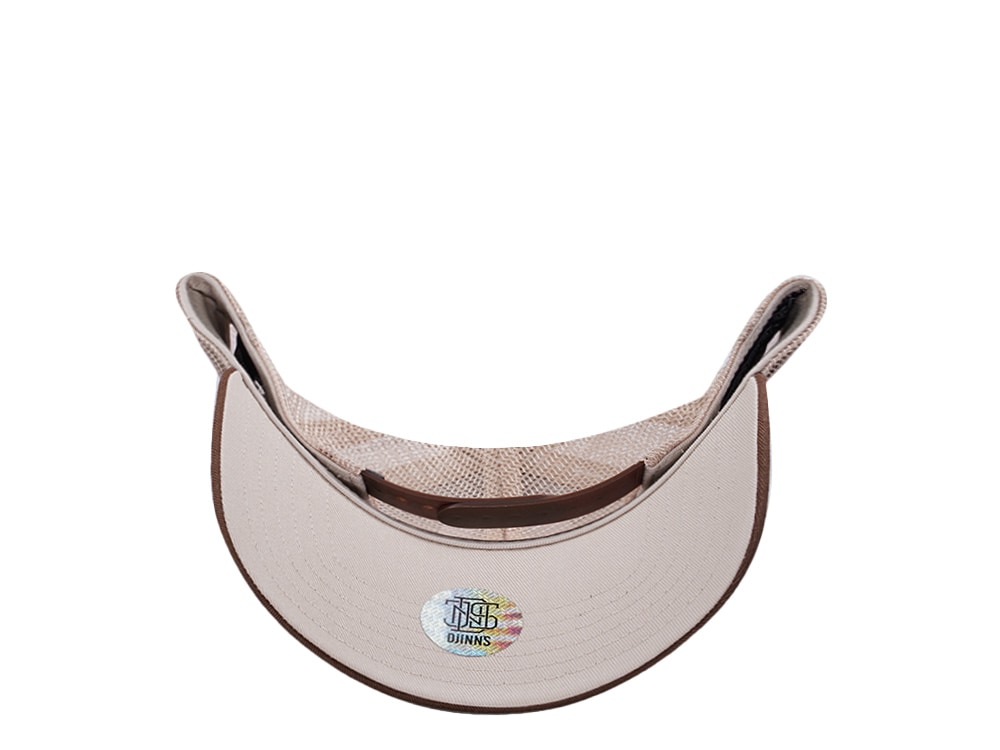 Djinns HFT Guy in a Cup Dark Brown Trucker Snapback Cap