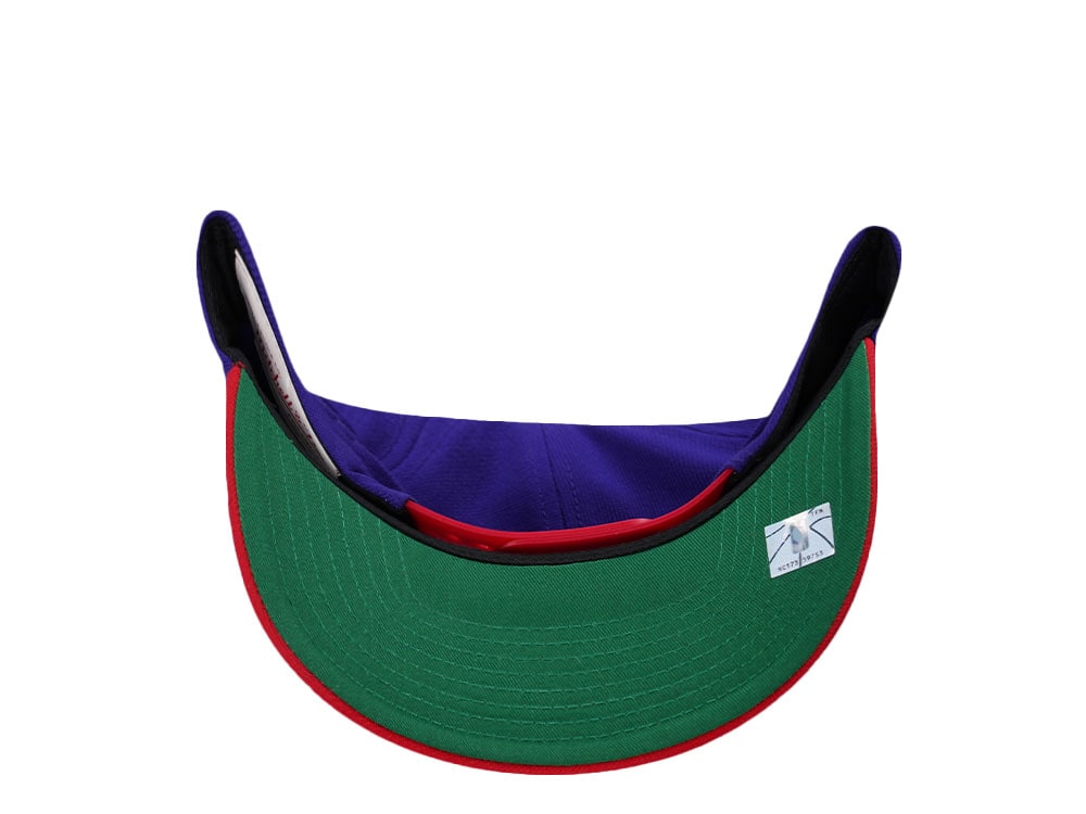 Mitchell & Ness Toronto Raptors Two Tone Pro Crown Fit Snapback Cap