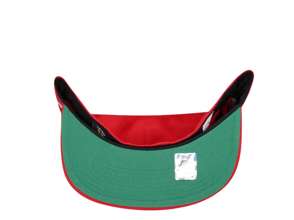 Mitchell & Ness New Jersey Devils 10th Anniversary Vintage Edition Dynasty Fitted Cap
