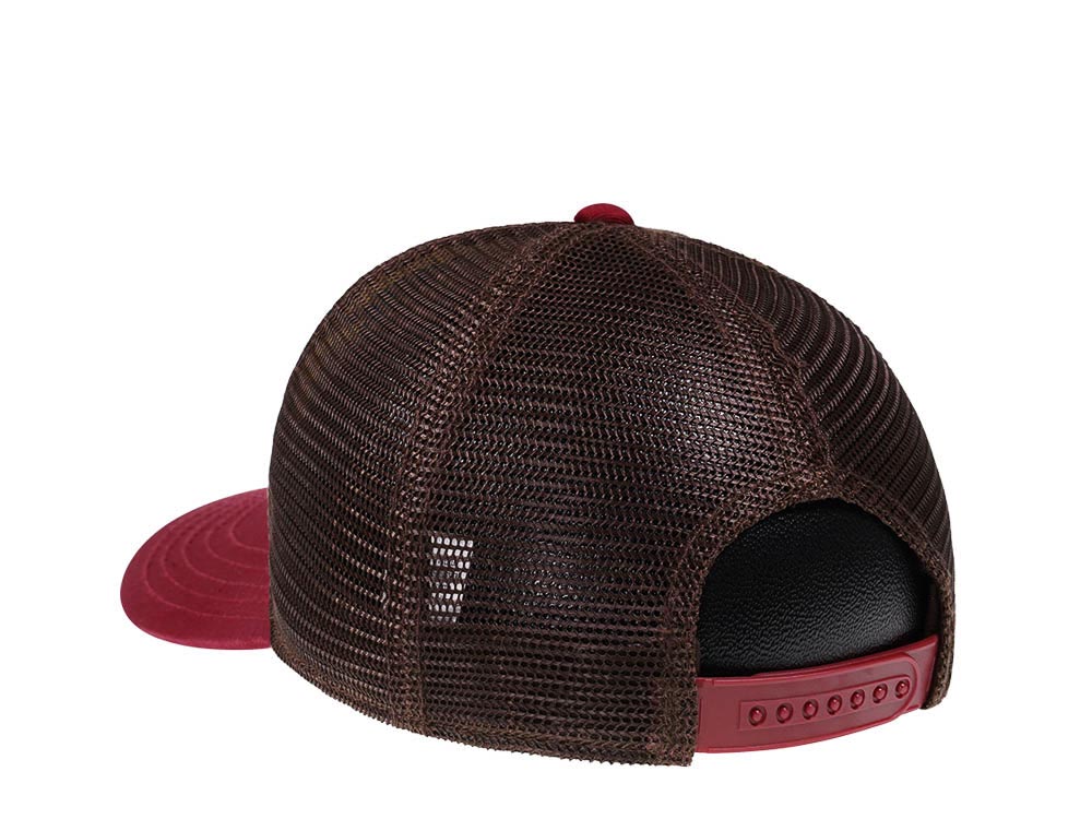 American Needle Grand Canyon NP Sinclair Trucker Snapback Cap