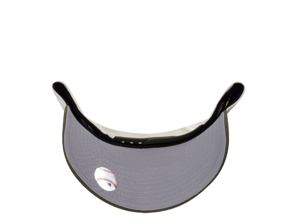 New Era Chicago Cubs Be Alert Chrome Two Tone Edition 9Forty A Frame Snapback Cap