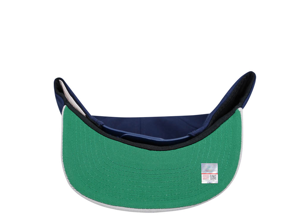 Mitchell & Ness Howard University Bison Team Two Tone 2.0 Snapback Cap