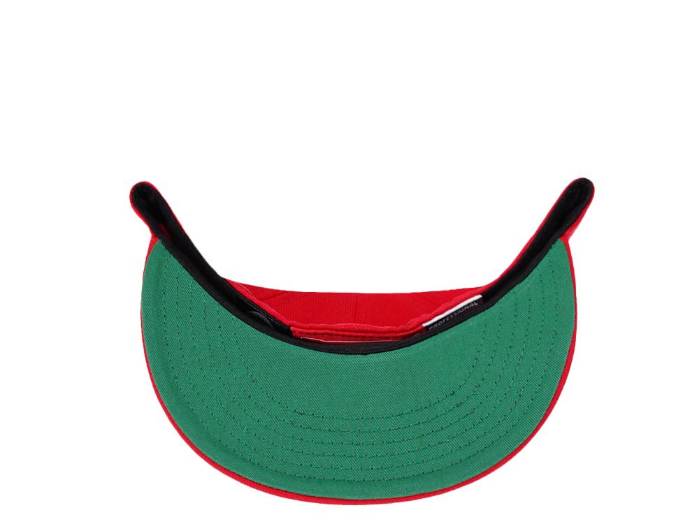 American Needle Detroit Red Wings Classic Fitted Cap