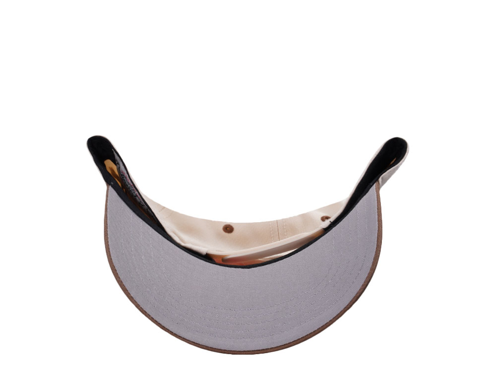 American Needle Joshua Tree National Park Roscoe Ivory Snapback Cap