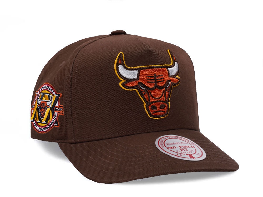 Mitchell & Ness Chicago Bulls 20th Anniversary Brown Edition Pro Pinch Fit Snapback Cap