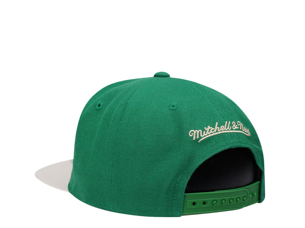 Mitchell & Ness Milwaukee Bucks Team Two Tone 2.0 Snapback Cap