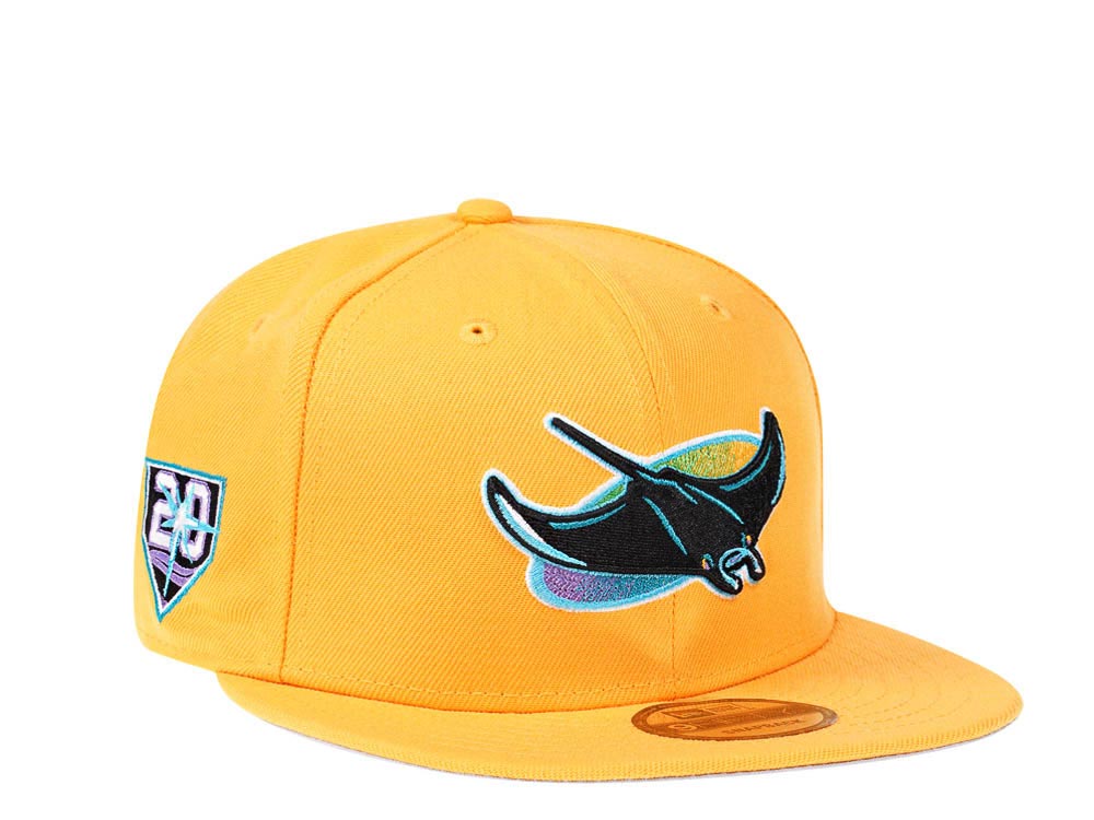 tampa bay rays hat